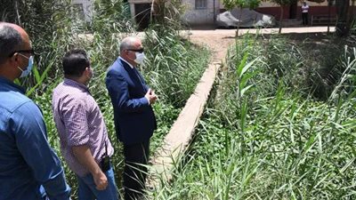محافظ قنا يأمر بتطهير عدد من الترع والمصارف بقوص| صور 