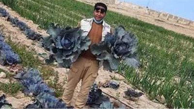 الزراعة: مشروع حقن التربة الرملية تحد جديد لتوفير الأسمدة والمياه في الدلتا الجديدة