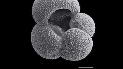 لم يشهدها منذ 3 ملايين عام.. العالم على موعد مع كارثة طبيعية غير مسبوقة