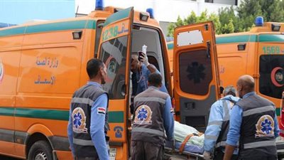 مصرع سيدة روسية وإصابة 11 آخرين في حادث تصادم بطريق 