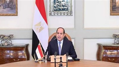 السيسي يكلف بدعم التوسع في شبكات الألياف الضوئية لمواكبة التطور
