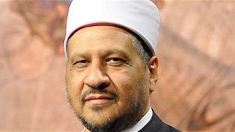 الدكتور مجدى عاشور