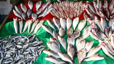 ارتفاع أسعار الأسماك ينعش سوق 