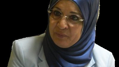 مدير إدارة الكوارث البيئية : نجحنا في التصدي للسحابة السوداء والفلاحون استفادوا من قش الأرز