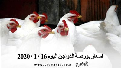 اسعار بورصة الدواجن اليوم 16 / 1 / 2020
