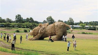 بالصور.. قش الأرز أداة لإبداع الفنانين في اليابان