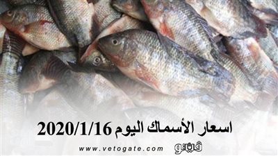 اسعار الأسماك اليوم 2020/1/16