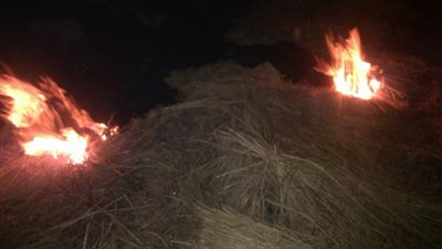 بالصور.. السحابة السوداء تغطي سماء الشرقية بسبب حرق قش الأرز