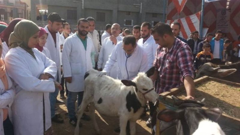 قافلة بيطرية مجانية