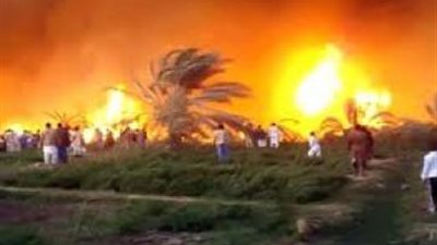 إخماد حريق هائل بأرض زراعية بالدقهلية.. والخسائر 16 ألف جنيه