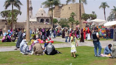 حملات نظافة بالغربية لرفع مخلفات شم النسيم من الحدائق العامة