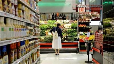 «الاستثمار» تضع خطة لتطوير المجمعات الاستهلاكية في 2014