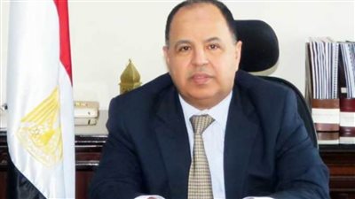 2.9 مليار جنيه ضرائب ورسوم محصلة عن جمارك الدخيلة والسخنة في ديسمبر 2019