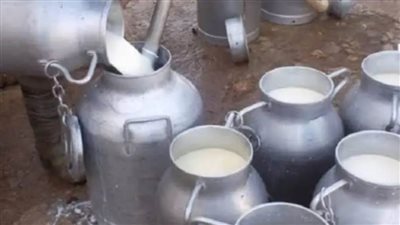 تحرير 72 محضرا.. وضبط 1000 لتر ألبان فاسدة في المنيا