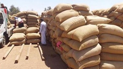 توريد أكثر من 20 ألف طن قمح إلى شون محافظة قنا