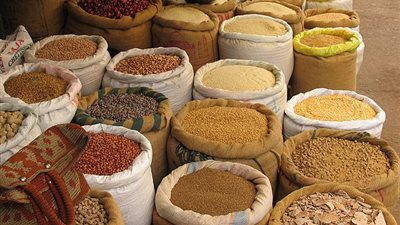 5.25 جنيهات لكيلو الأرز بالبحر الأحمر.. اليوم