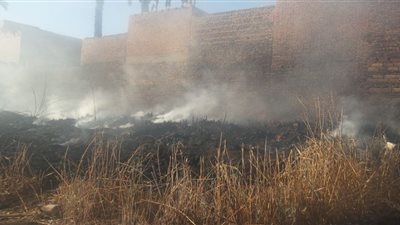 حرائق قش الأرز تلتهم فدانين بالغربية