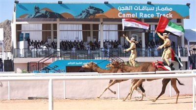 السيسي: مهرجان شرم الشيخ التراثي يؤكد عمق المحبة  بين الشعبين المصري والإماراتي