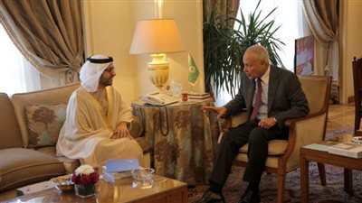 أبو الغيط يلتقي أمين عام مجلس حكماء المسلمين