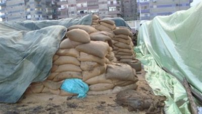 توريد 120 ألف إردب قمح بشون أسيوط