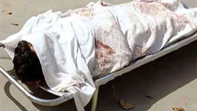 مصرع جزار إثر مطاردة لص بالبحيرة