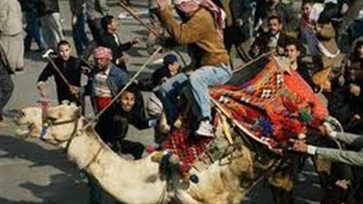 اليوم.. أولى جلسات نظر الطعن على براءة متهمى 