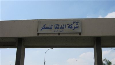 رئيس الدلتا: لا توجد أزمة في السكر والاحتياطي يكفي حتى يناير