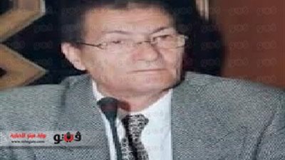 أستاذ علوم سياسية: تركيا تريد أن تصبح «دولة السنة» بدلاً من مصر