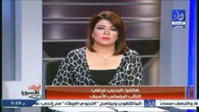 بالفيديو.. البدري فرغلي: البرلمان تابع للحكومة وقراراتها