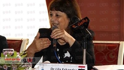 تعاون بين «البيئة» و«التنمية المحلية» لتوفير سيارات نظافة