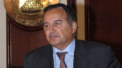 «الخارجية»: تدخلات إيران في الشأن المصري «مرفوضة»