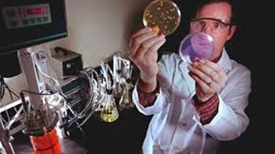 علماء بريطانيون يتوصلون لعلاج يقضى على سرطان البنكرياس في 6 أيام