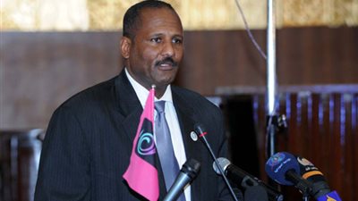 مساعد الرئيس السودانى: جهات خارجية تشجع المتمردين على حمل السلاح