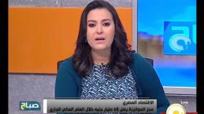 بالفيديو.. خبير اقتصادي: وزير المالية يتصرف في الموازنة «بمزاجه»