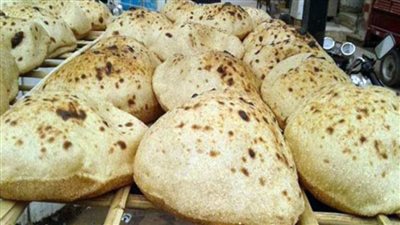 هل تنوي الحكومة إلغاء دعم الخبز نهائيا بداية من يوليو 2020؟ 