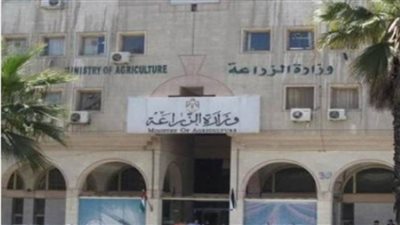 حقيقة استيراد الحكومة شحنات تقاوي فاسدة