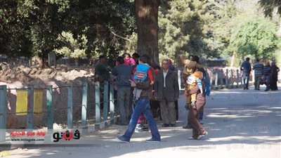 بالصور .. إقبال ضعيف على حديقة الحيوان في عيد الميلاد