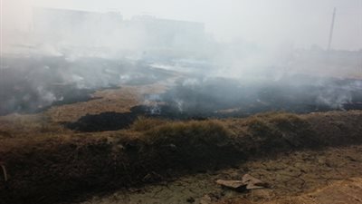 محافظ الشرقية يجازي رئيس الجمعية الزراعية بقرية دبيج