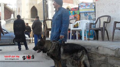 بالصور.. تأمين مكثف لاحتفالات 