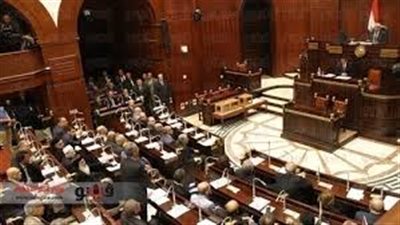 طارق العوضي:  كانت هناك ضغوط على لجنة الخمسين أثناء عملها