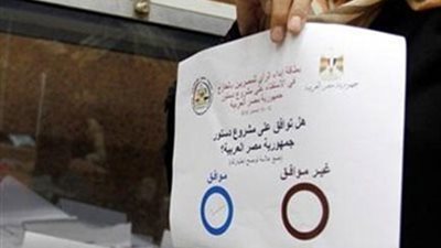 الإنقاذ بدمياط تحشد للتصويت بـ نعم على الدستور