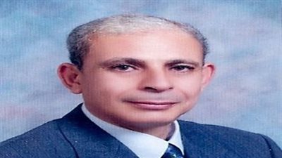 التحالف بالبحيرة: الإخوان أصبحوا فى موضع الاتهام بعد حكم موقعة الجمل