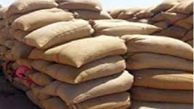 ضبط 265 طن قمح بلدى بحوزة سائقين مهربة خارج محافظة المنيا