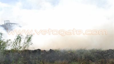 غرامات بـ15 آلاف جنيه بسبب حرق قش الأرز بـ«أبوحماد» في الشرقية