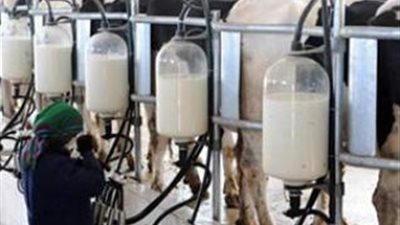 أيمن قره: طرح 