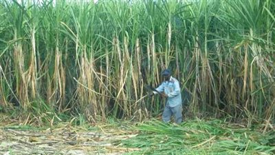 انتهاء موسم 