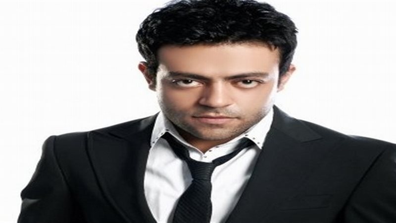 الفنان تامر عاشور