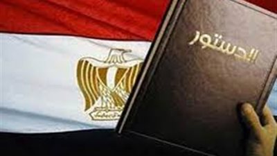 «يحدث في مصر»: أجهزة إلكترونية لكشف تكرار تصويت الوافدين في الاستفتاء