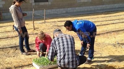 الجامعة الأمريكية تدشن برنامجًا للزراعة