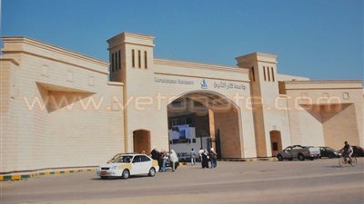 الفصل عاما دراسيا كاملا لطالب كلية الآداب